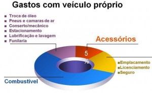 gráfico de itens que integram o gasto com veículo próprio do IBGE, inclusive acessórios automotivos