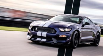 Mustang Shelby GT350 2019