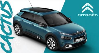 Cactus: Uma nova geração de SUV